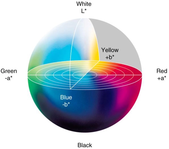 infografico de cores lab